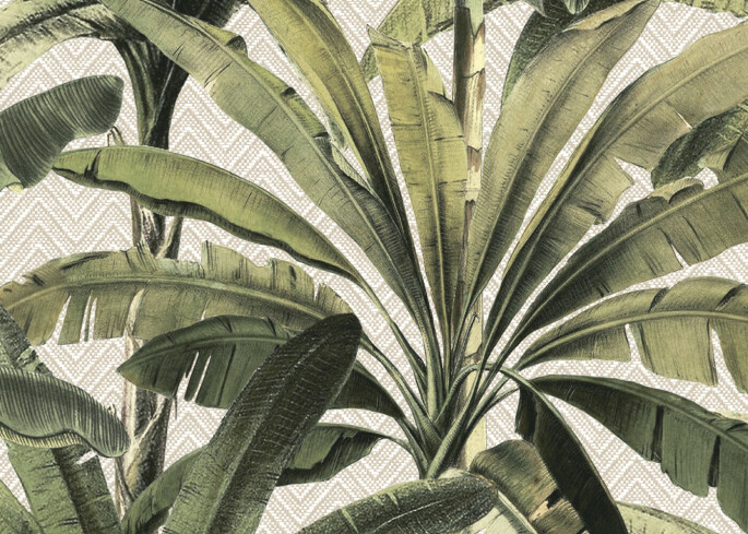 Arte Palmera Wallpaper