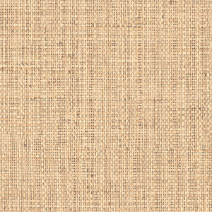Arte Nongo Wallpaper