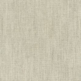 D’ Decor Nightlife Curtain