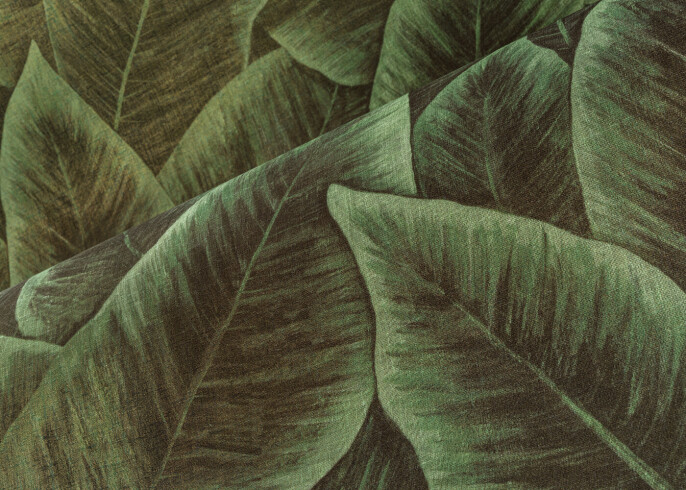 Arte Bird of Paradise Wallpaper