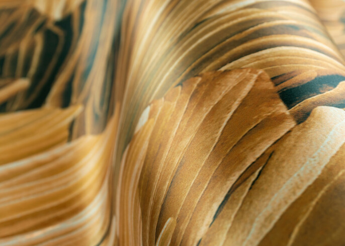 Arte Pavartina Wallpaper