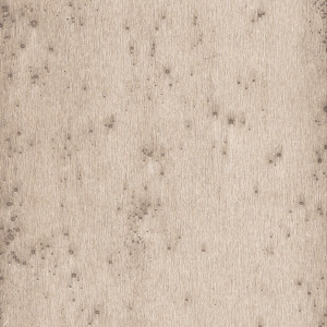 Arte Stellar Wallpaper