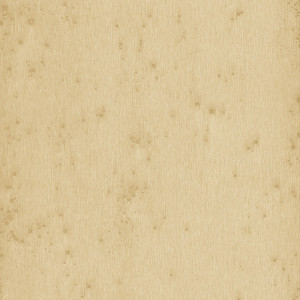 Arte Stellar Wallpaper