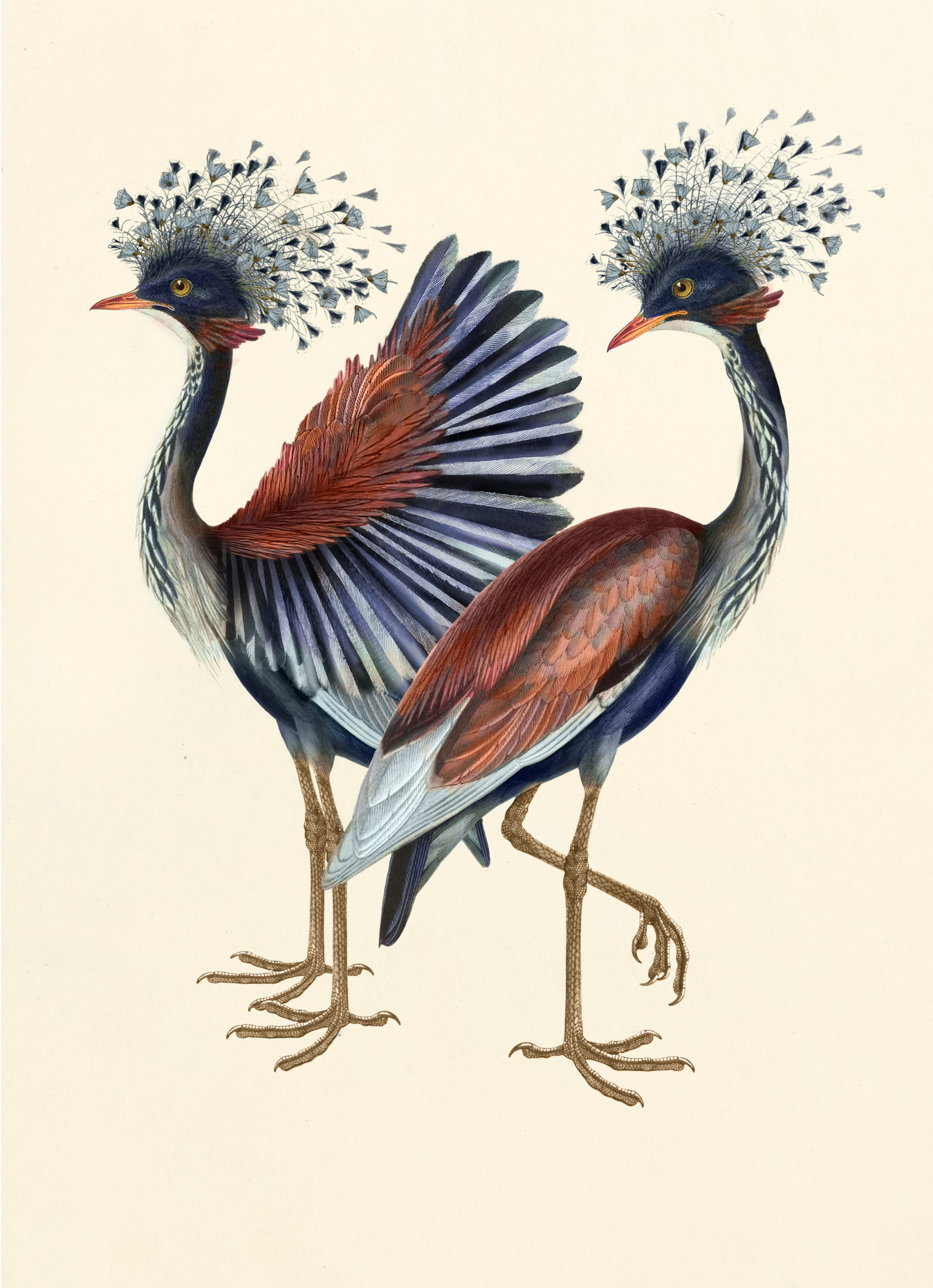 Arte Dandelion Cranes Wallpaper