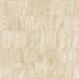 Arte Capas Wallpaper
