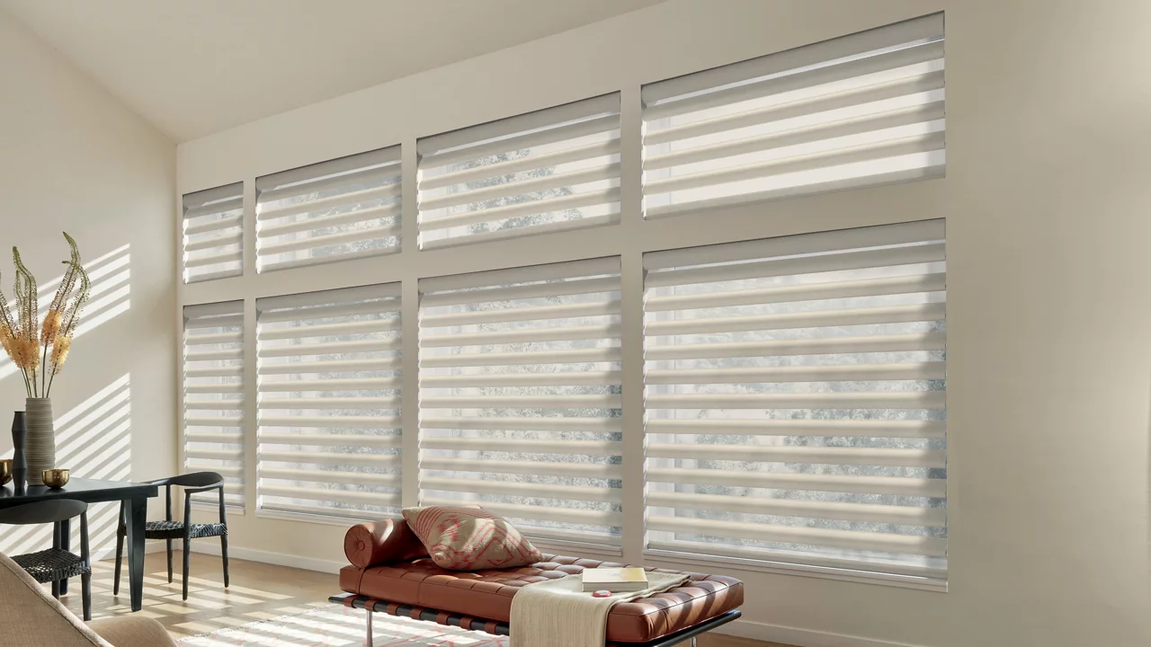 Hunter Douglas Pirouette Sheer Blinds