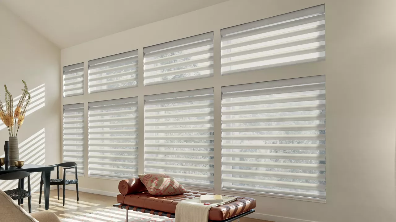 Hunter Douglas Pirouette Sheer Blinds