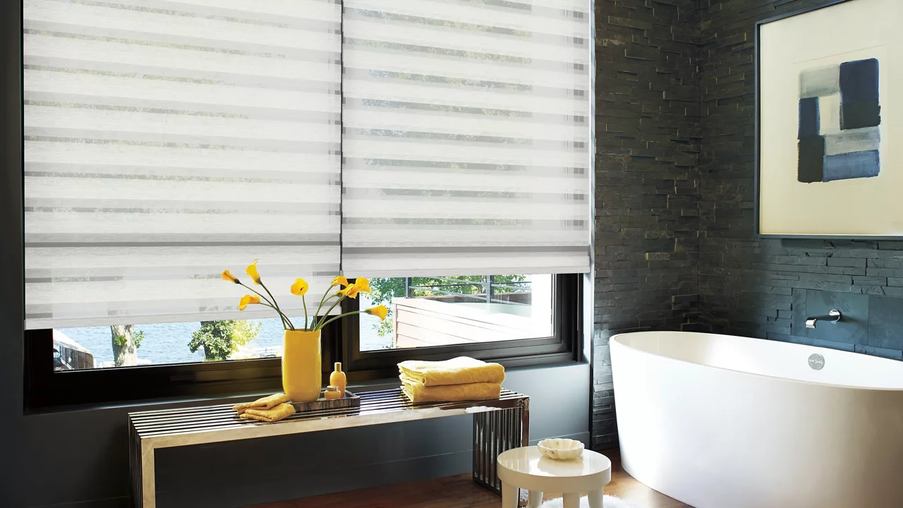 Hunter Douglas Twist Blinds