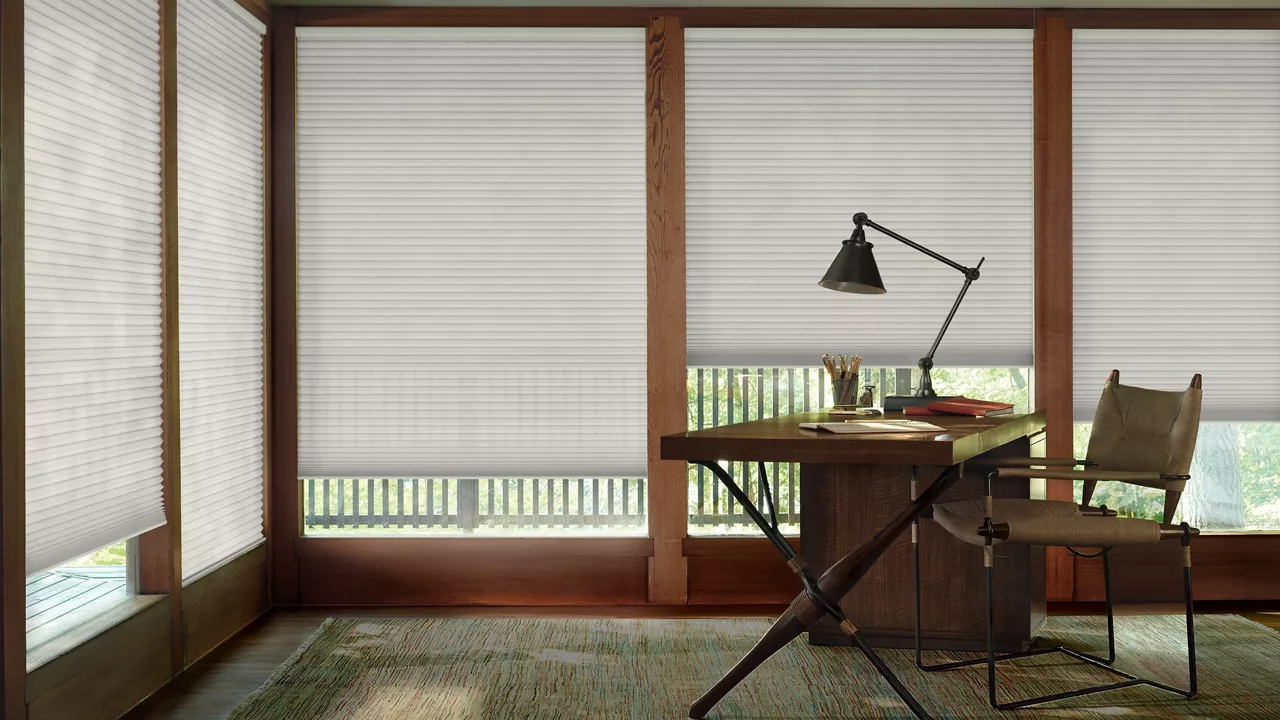 Hunter Douglas Duette Honeycomb Blinds