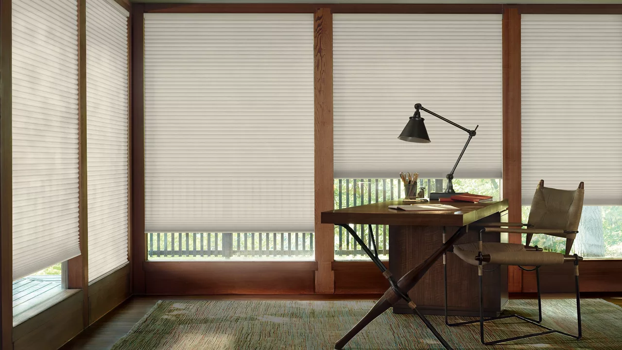 Hunter Douglas Duette Honeycomb Blinds