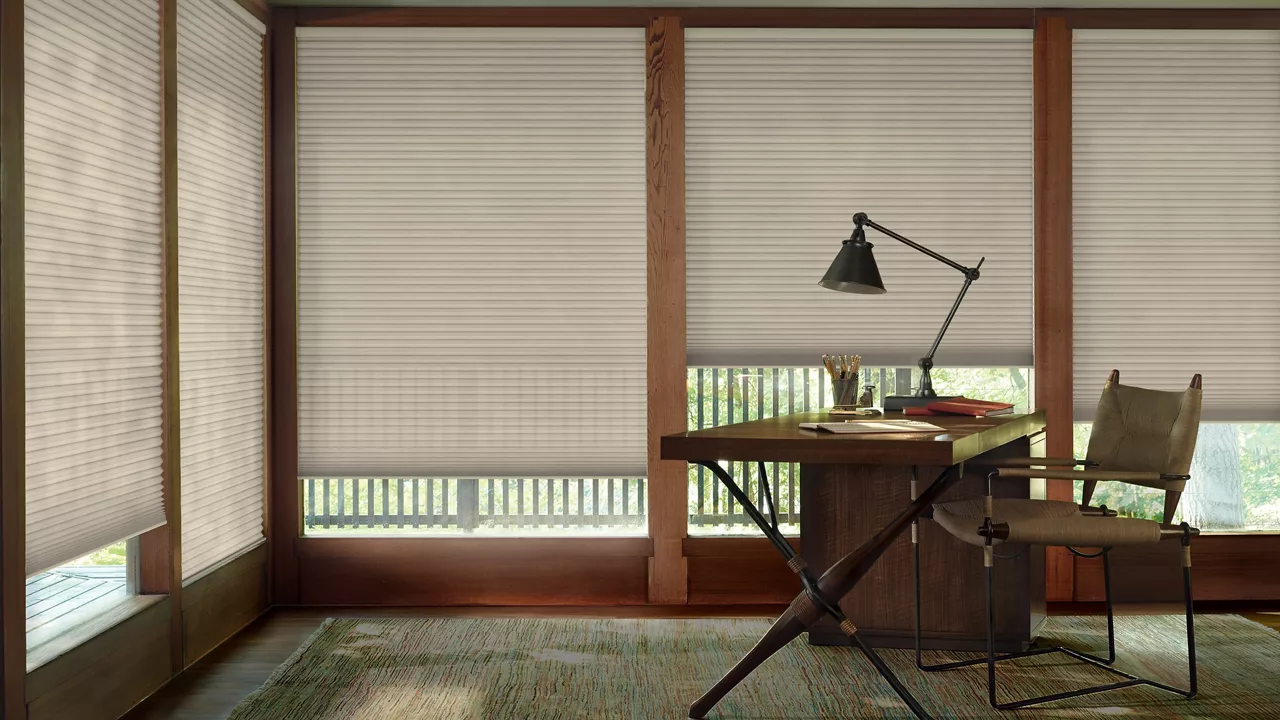 Hunter Douglas Duette Honeycomb Blinds