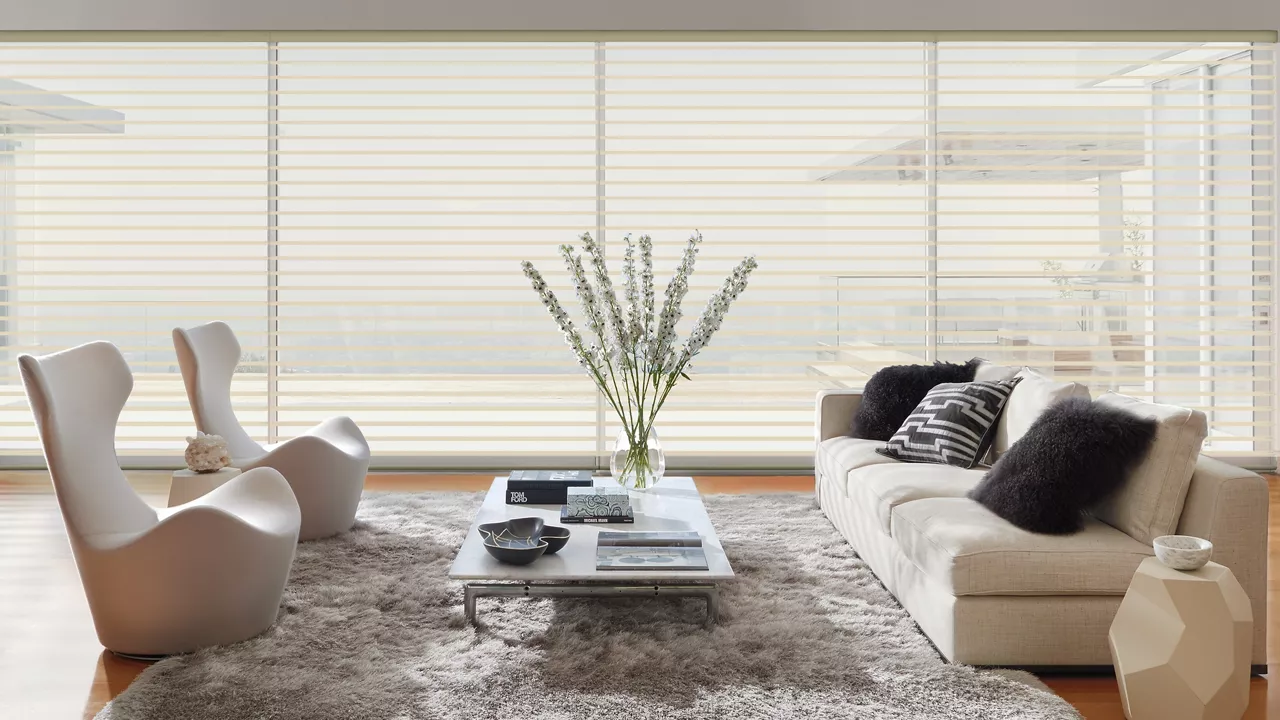 Hunter Douglas Silhouette Sheer Blinds