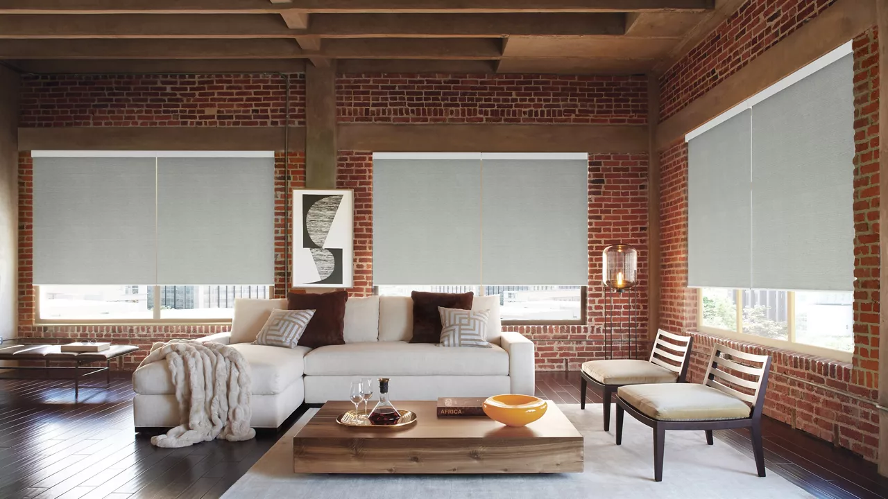 Hunter Douglas Roller Blinds