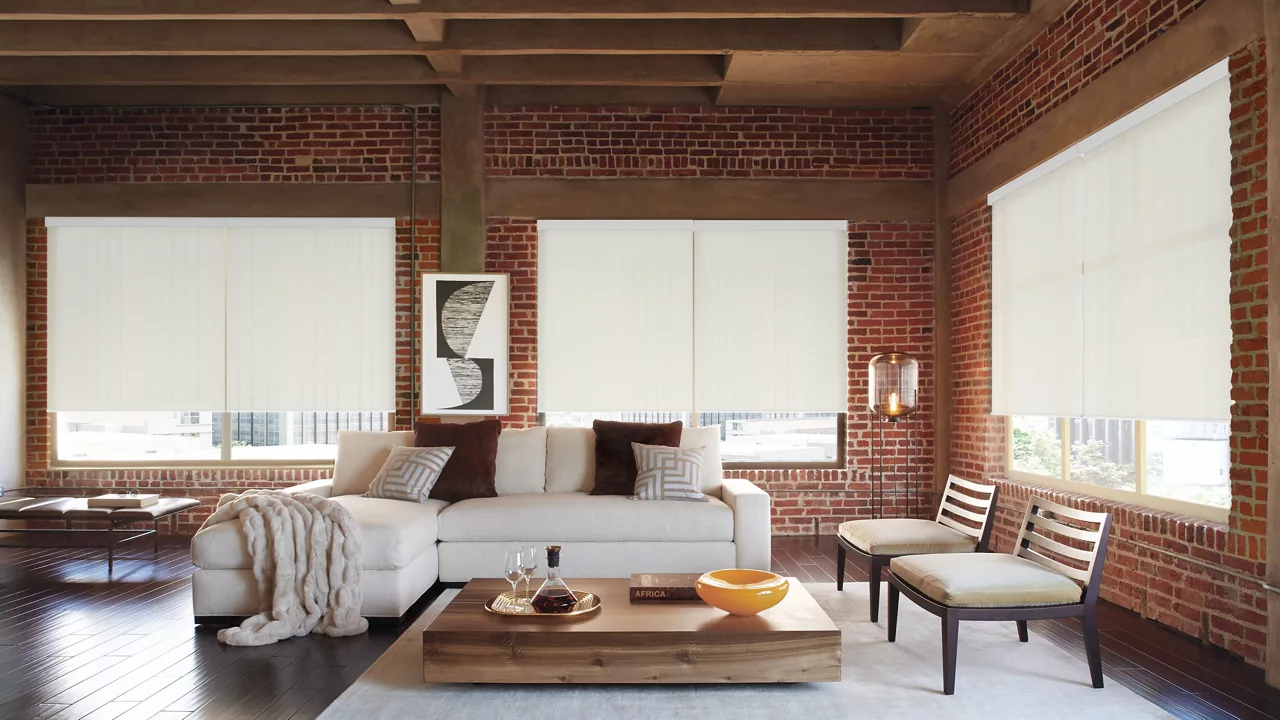 Hunter Douglas Roller Blinds
