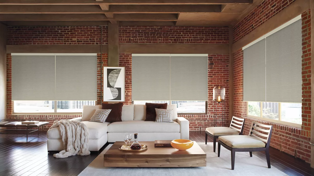 Hunter Douglas Roller Blinds