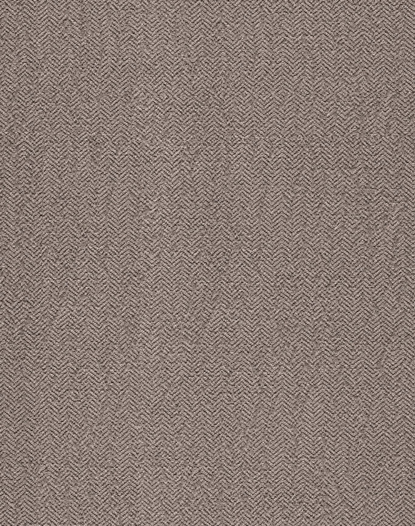 LUSTRE Sr.No 28