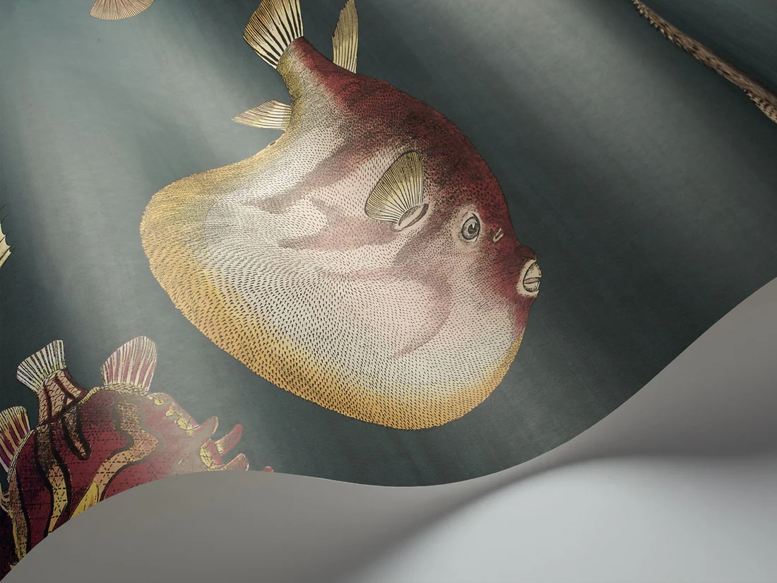 Cole & Son Acquario Wallpaper