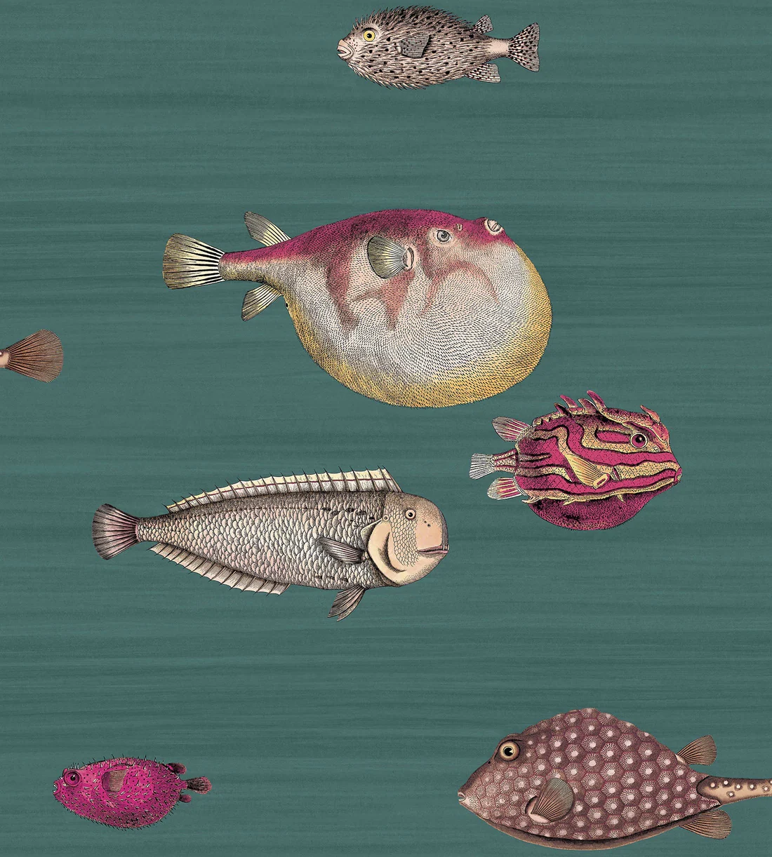 Cole & Son Acquario Wallpaper