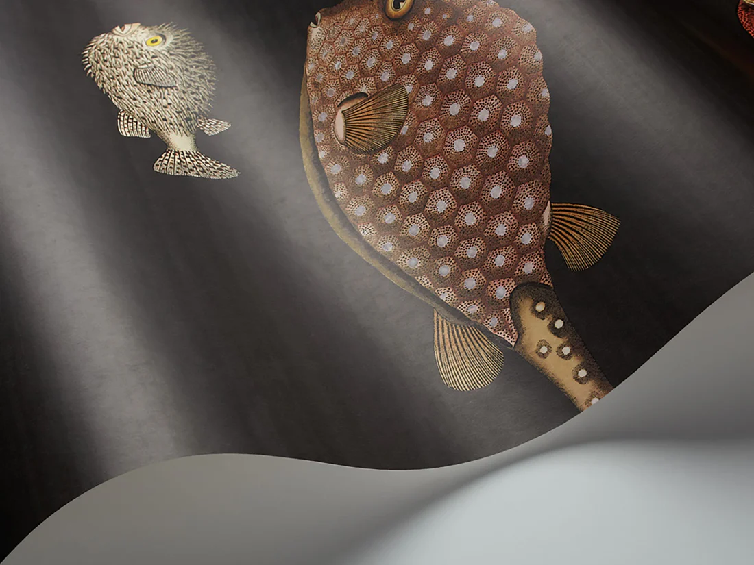 Cole & Son Acquario Wallpaper