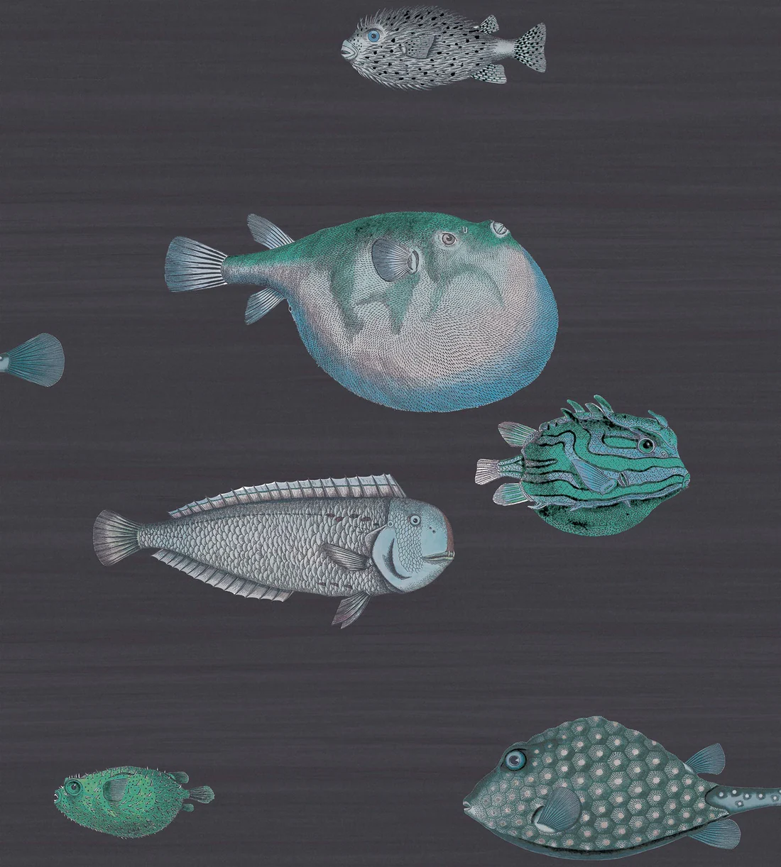 Cole & Son Acquario Wallpaper