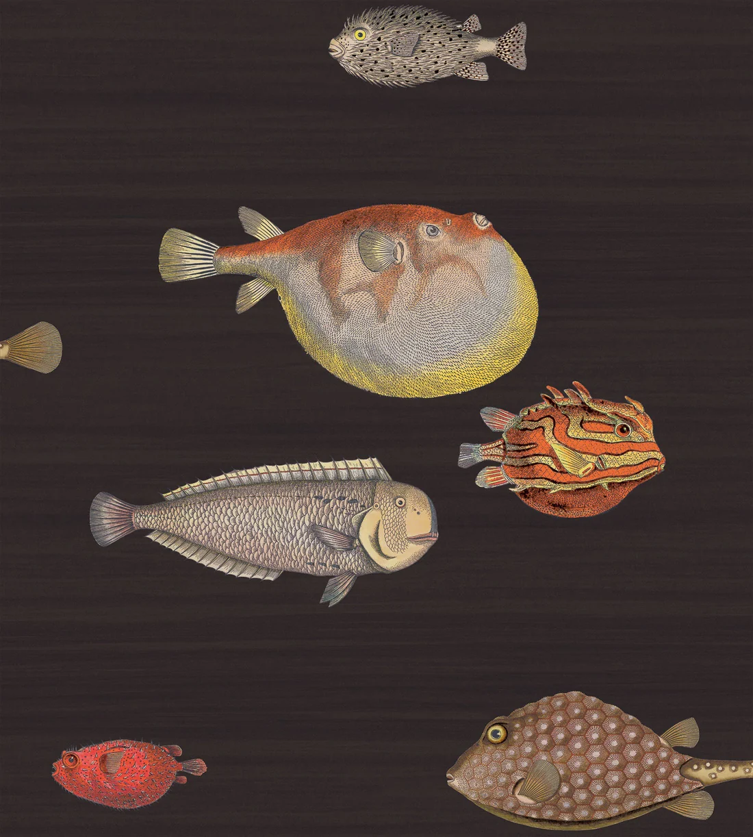 Cole & Son Acquario Wallpaper