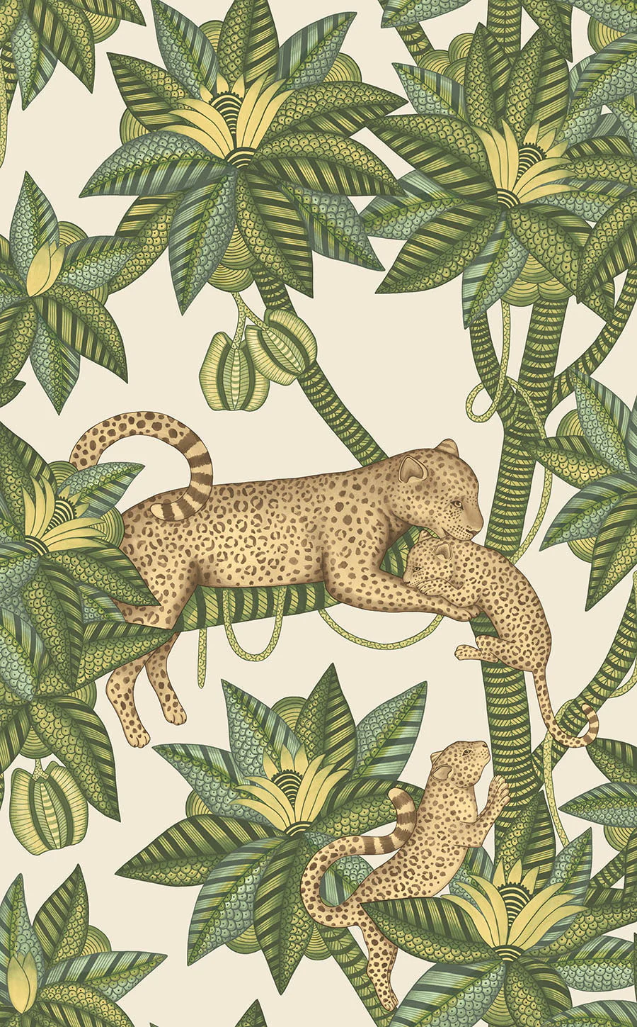 Cole & Son Satara Wallpaper