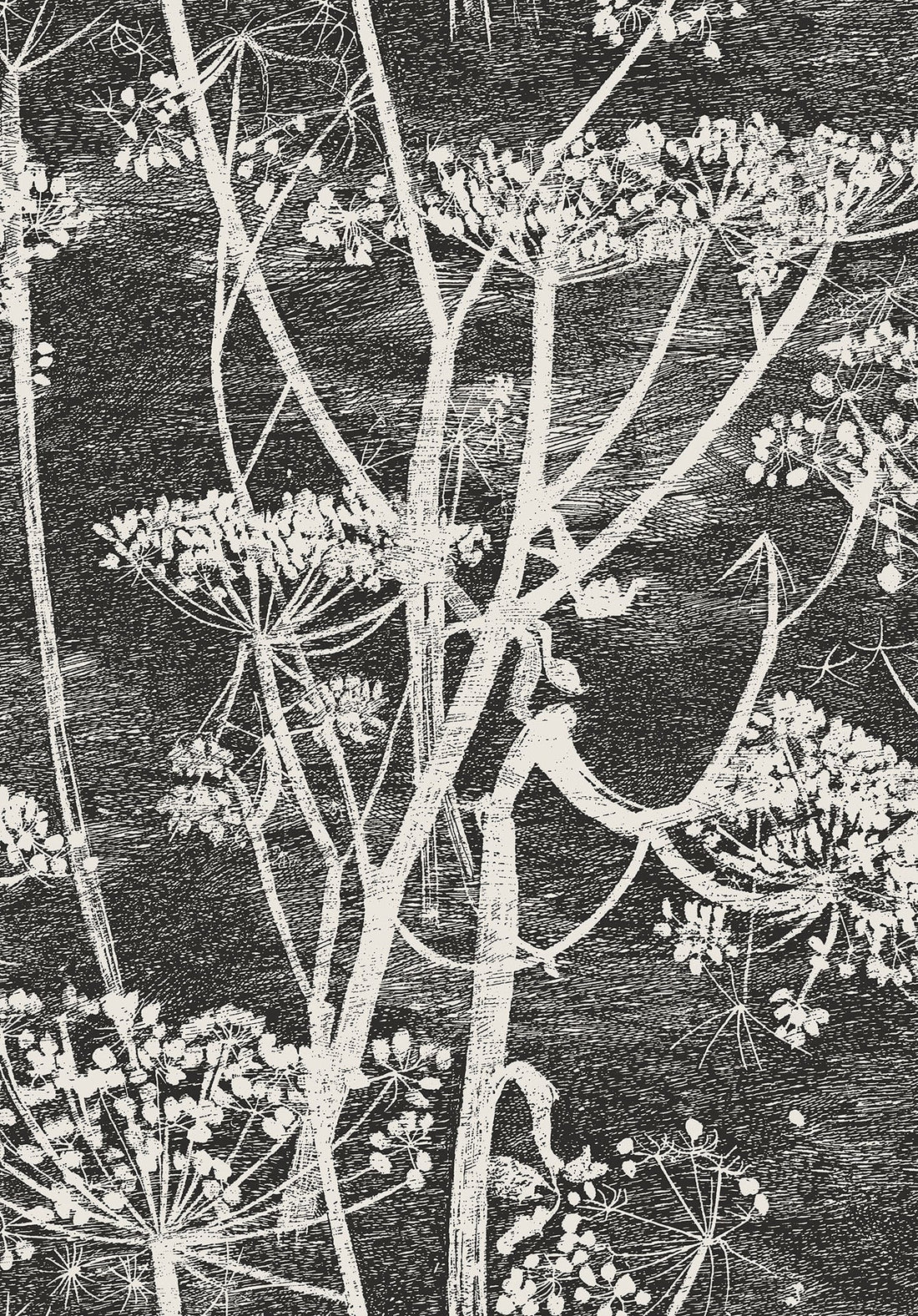 Cole & Son Cow Parsley Wallpaper