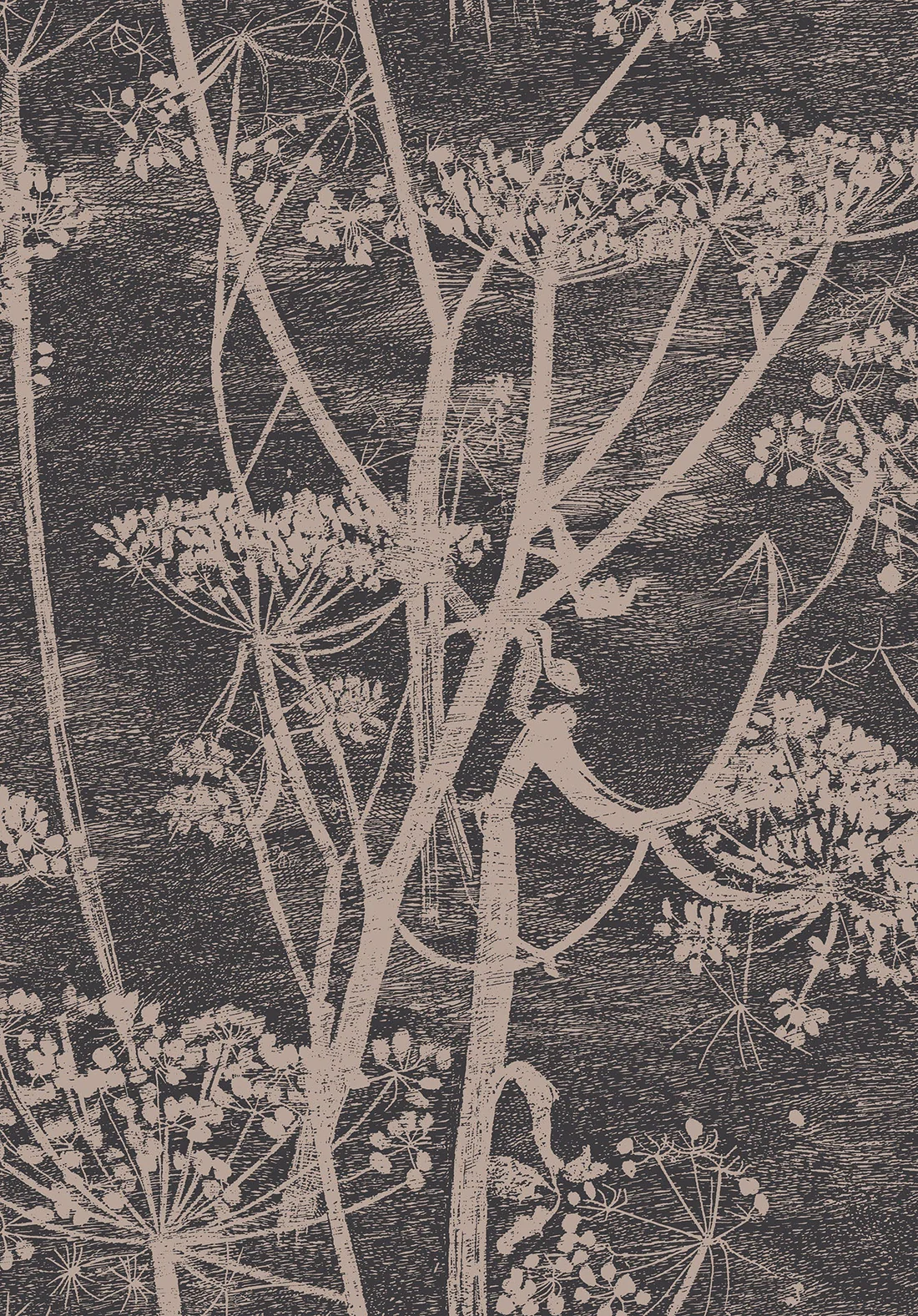 Cole & Son Cow Parsley Wallpaper
