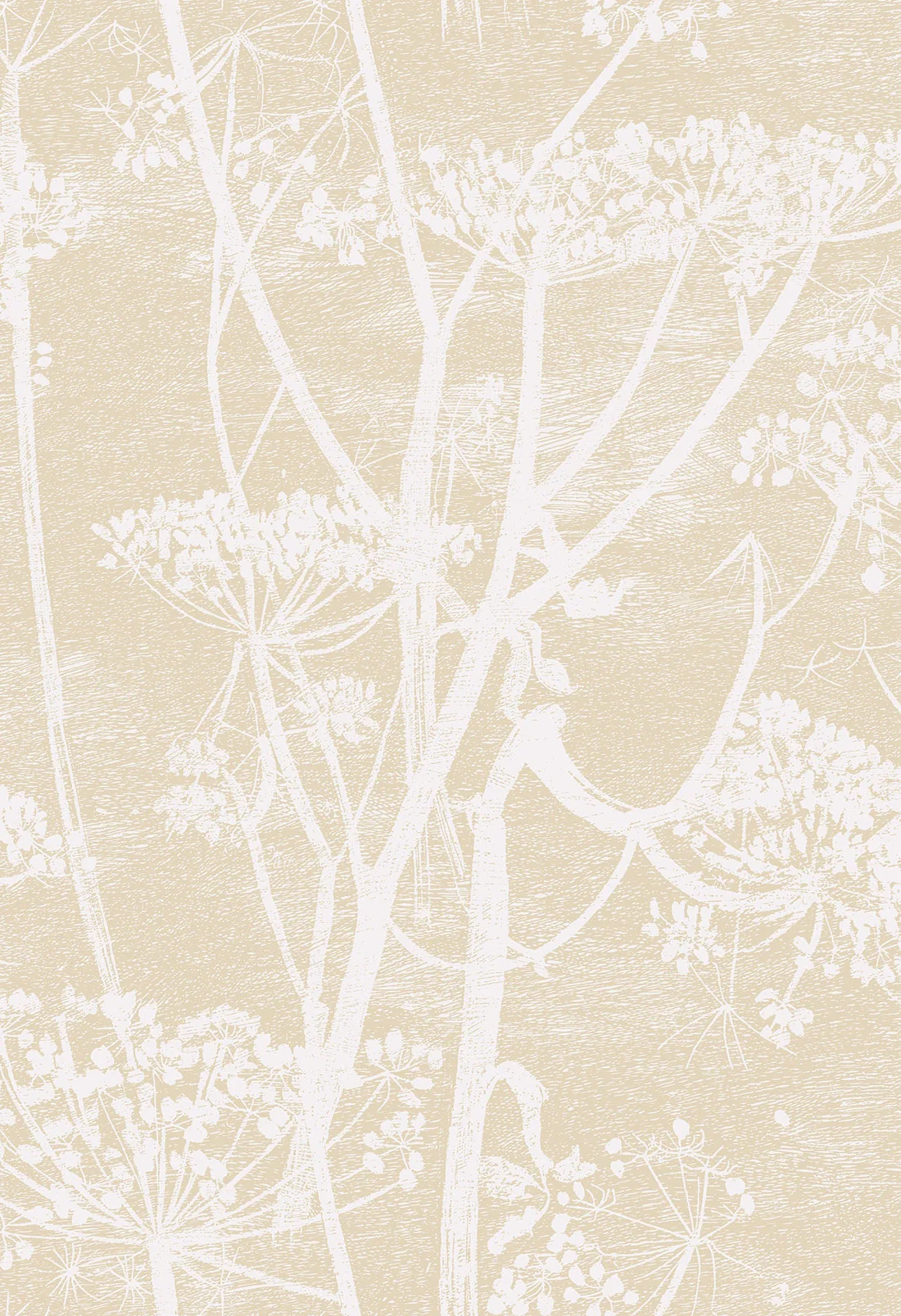 Cole & Son Cow Parsley Wallpaper