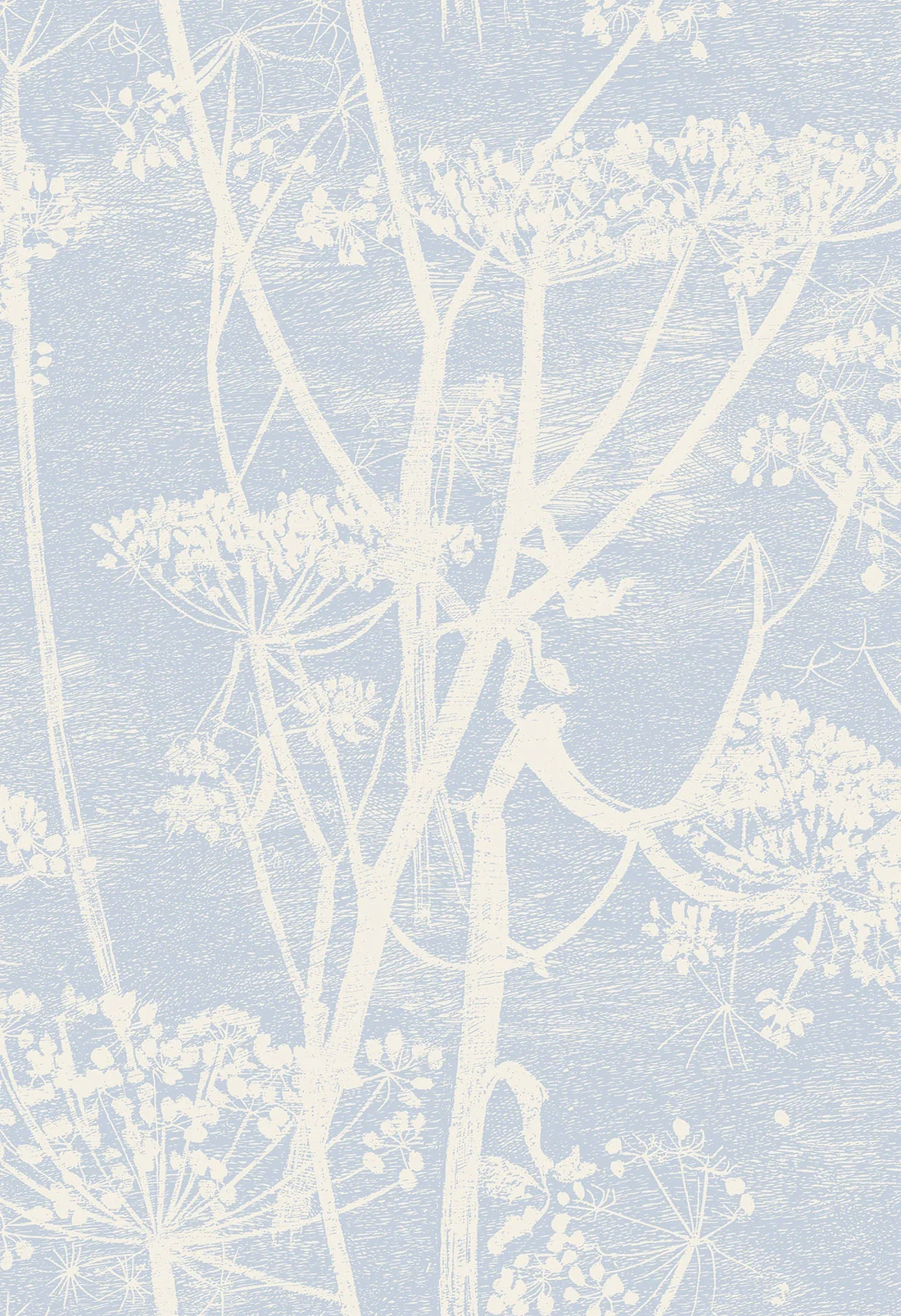 Cole & Son Cow Parsley Wallpaper