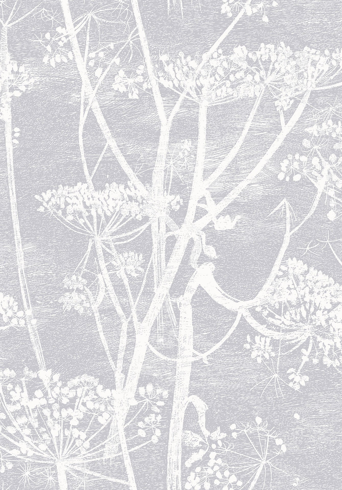 Cole & Son Cow Parsley Wallpaper