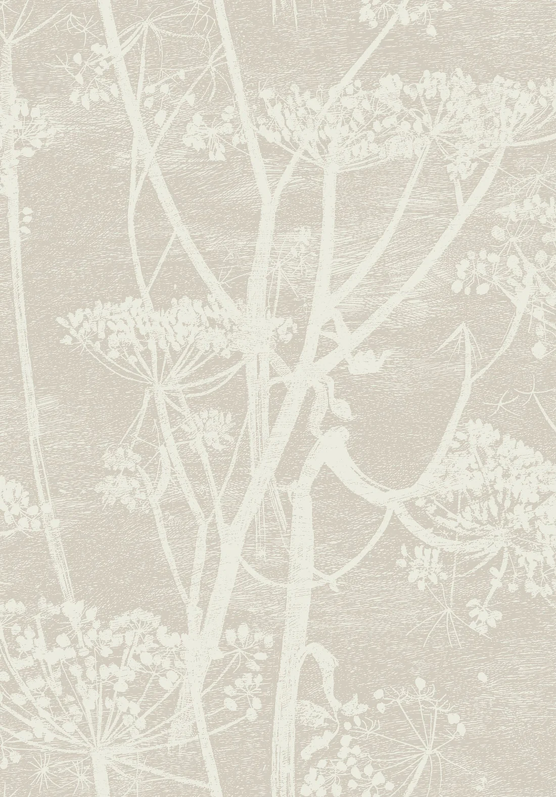 Cole & Son Cow Parsley Wallpaper