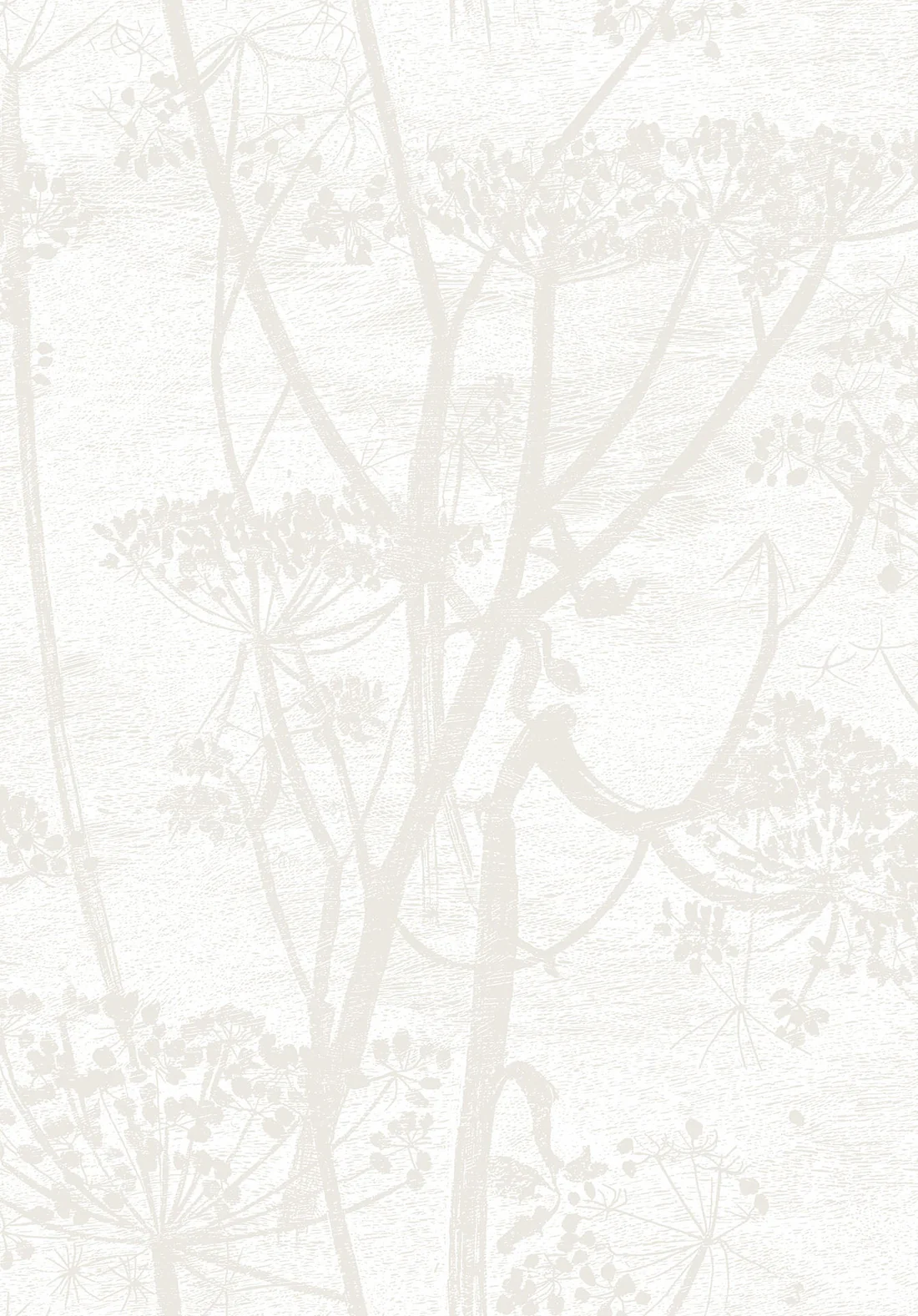 Cole & Son Cow Parsley Wallpaper