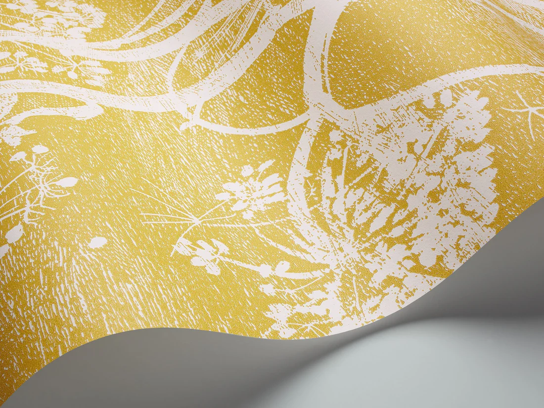 Cole & Son Cow Parsley Wallpaper