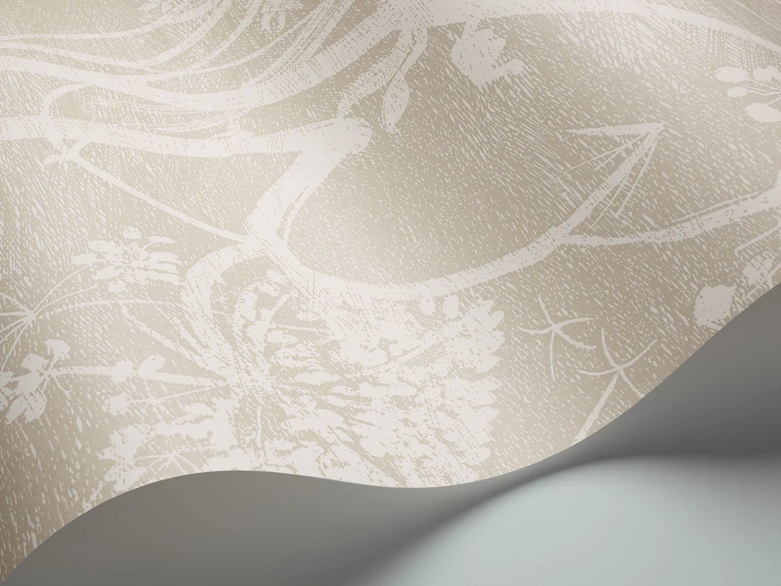 Cole & Son Cow Parsley Wallpaper