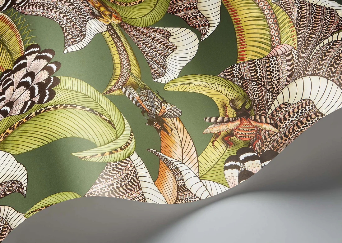 Cole & Son Hoopoe Leaves Wallpaper