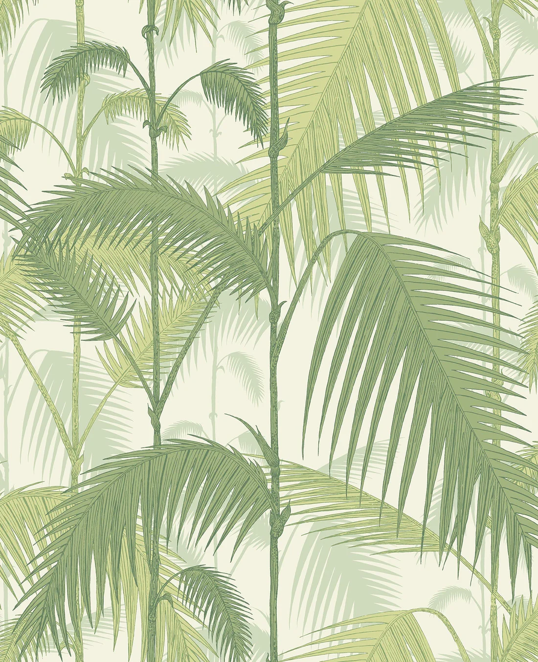Cole & Son Palm Jungle Wallpaper