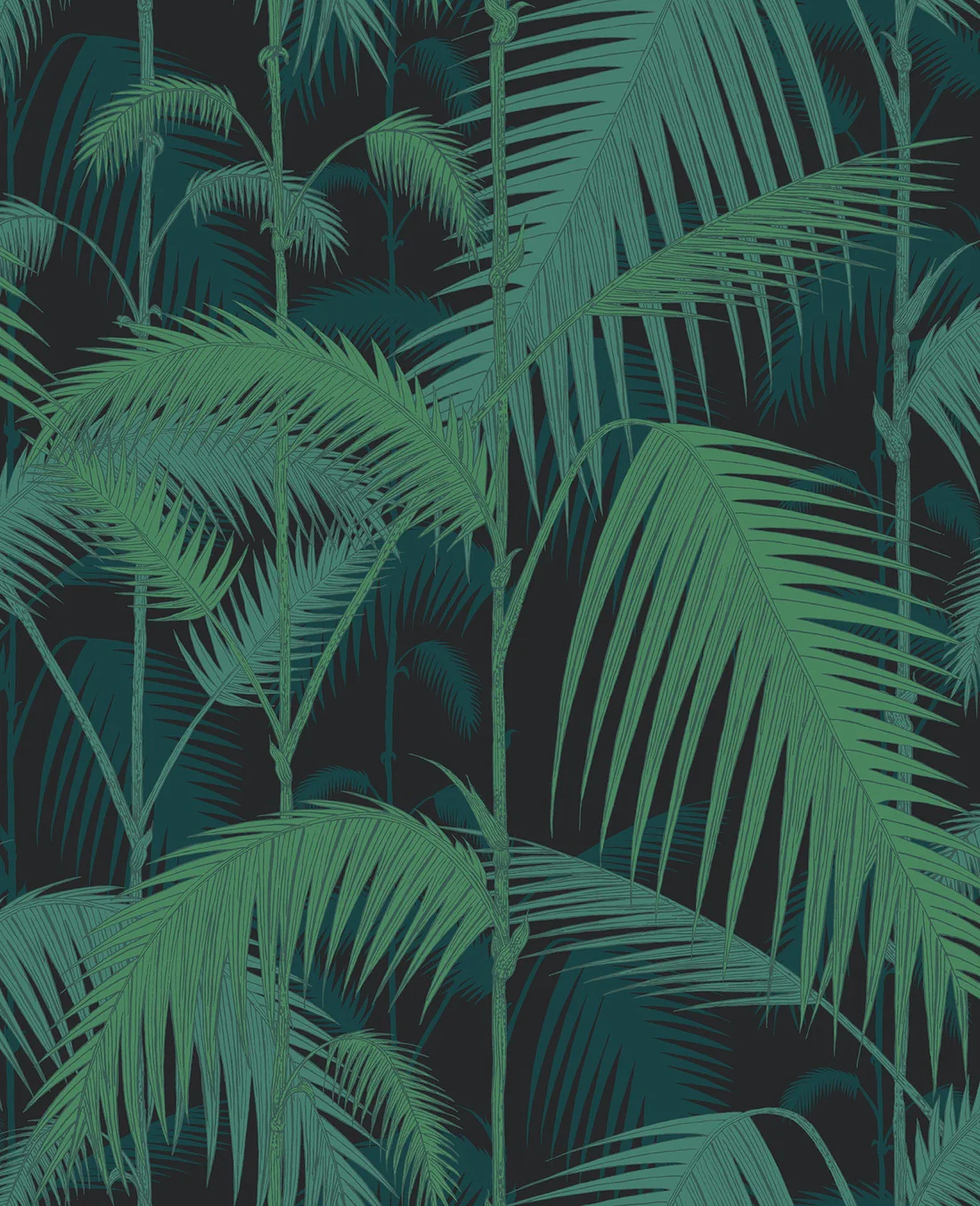 Cole & Son Palm Jungle Wallpaper