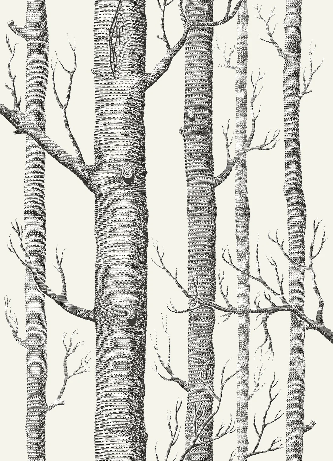 Cole & Son Woods Wallpaper